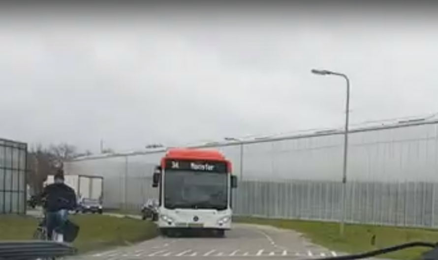 Haaglanden – Staking in streekvervoer