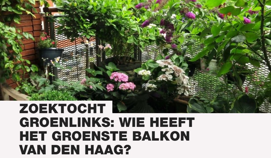 Den Haag – Prijs voor Haagse groene balkonnen
