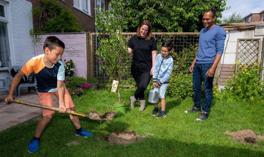 Den Haag – Gemeente is gestart met uitdelen van bomen