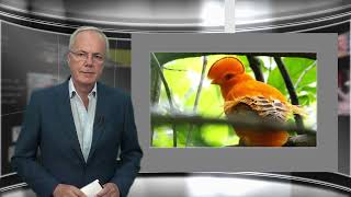 Regionieuws TV Suriname 24 aug  2021 – Kunstgrasvelden slecht onderhouden – Oranje Rotshaan Spotters