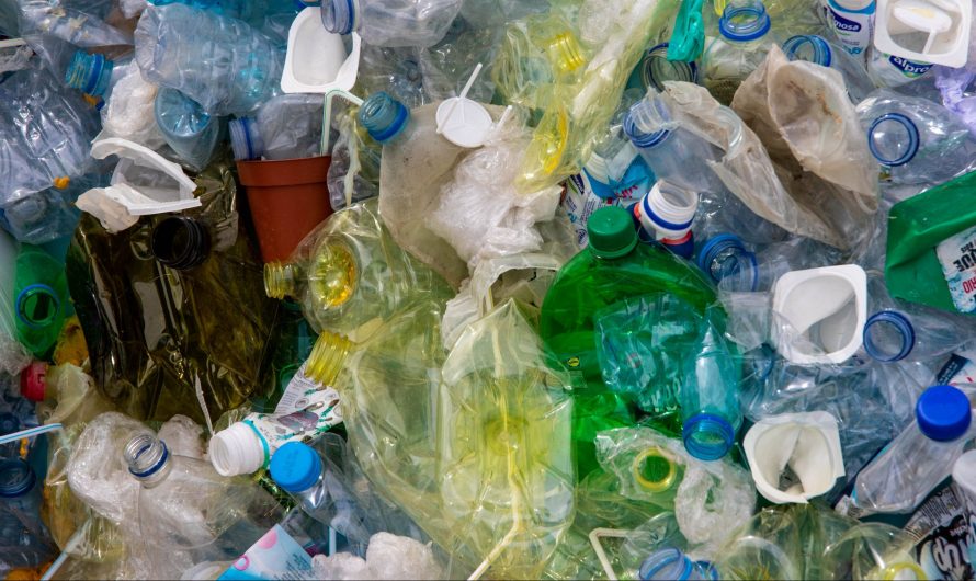 Westland – Start met inzameling plastic afval