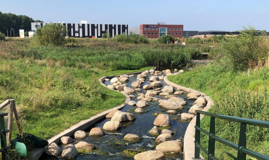 Zuid-Holland – Overheden en waterbedrijven werken intensiever samen aan klimaatbestendige regio