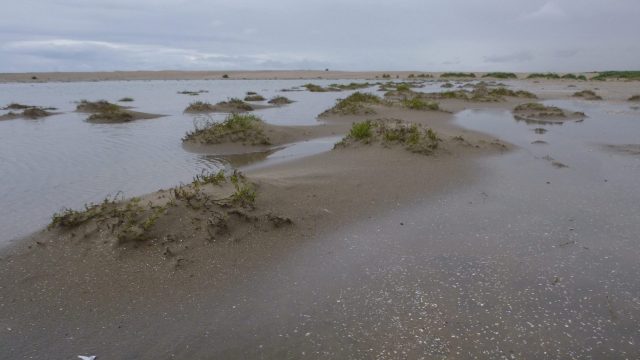Westland – Startbijeenkomst Groene strand Zandmotor