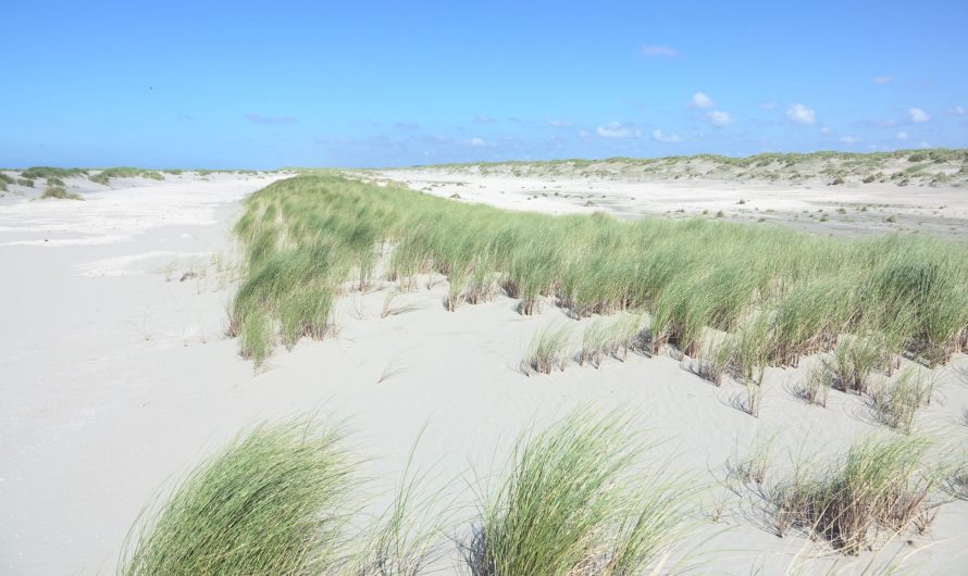 Zuid-Holland – Gedragscode voor recreatie op stille stranden