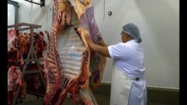 Regionieuws TV Suriname – Tjon A Joe wacht op zijn Subsidie – Er Dreigt Vlees-schaarste door staking