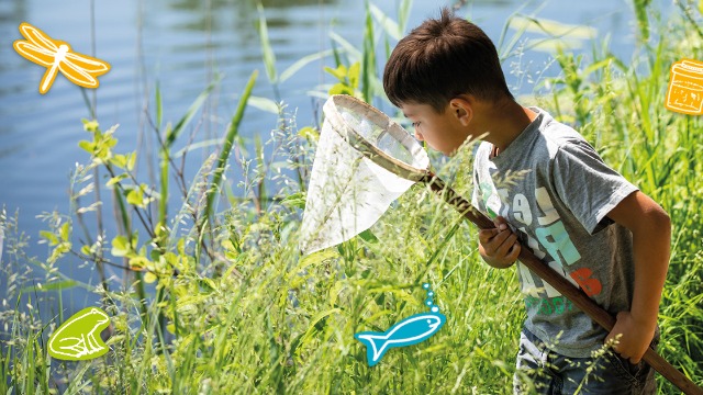 Zuid-Holland – Kinderen onderzoeken waterkwaliteit sloten