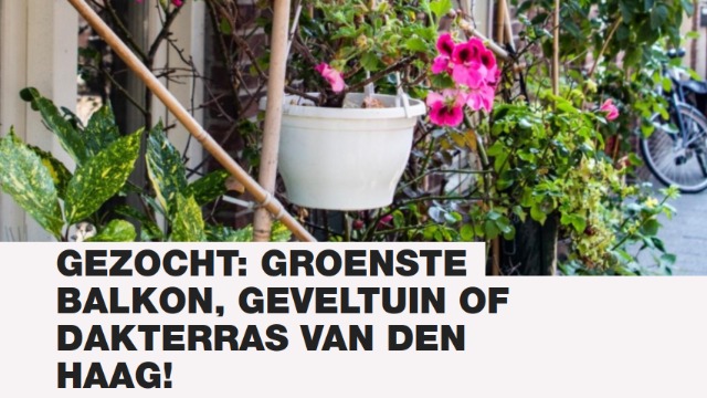 Den Haag – GroenLinks zoekt het groenste balkon