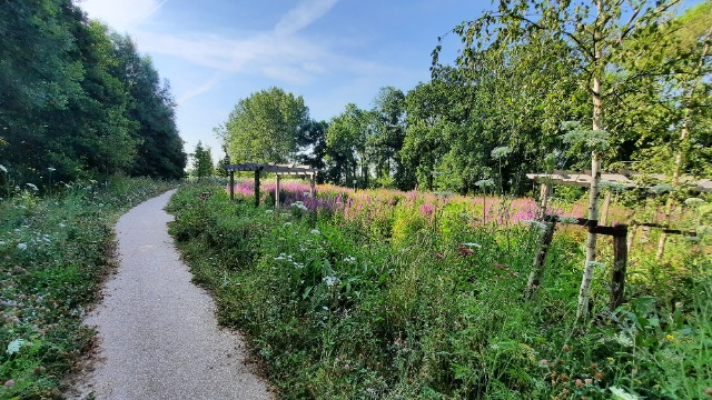 Den Haag – Maak kennis met de heemtuin Molenvlietpark