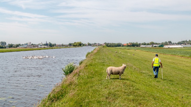 Zuid-Holland – Hoogheemraadschap: Na regen komt…droogte