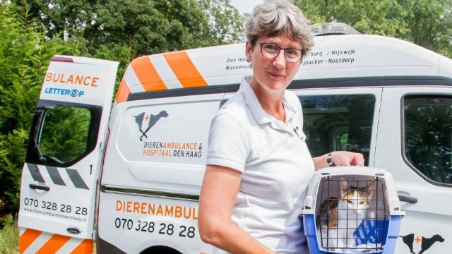 Regionieuws TV – Kattenpersoneel gezocht! Opvang Dierenambulance Den Haag zit overvol