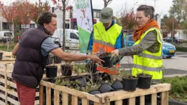 Regionieuws TV – 2400 planten vinden nieuwe eigenaar in Westland