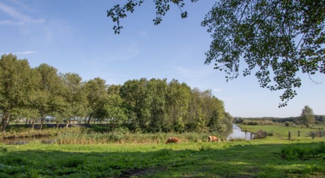 Regionieuws TV – Samen werken aan een rijkere natuur in Zuid-Holland: 2 subsidieregelingen van start