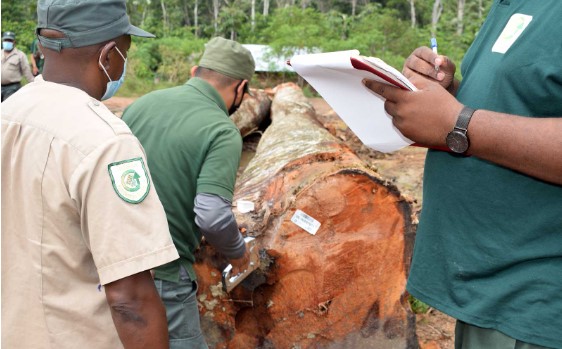 Regionieuws TV Suriname – Illegale houtkap en handel – Regering SRD 617 miljoen schuld EBS/ SWM