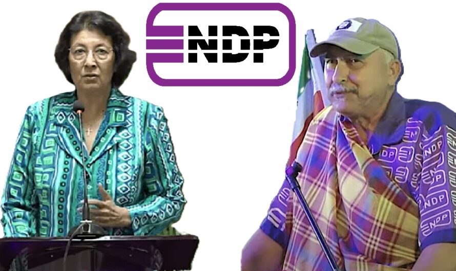 Bestuurloosheid RGD -Ministerie naar rechter -Strijd om leiderschap NDP