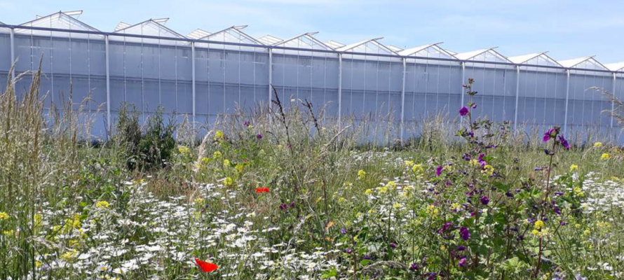 Subsidie voor biodiversiteit en waterkwaliteit op tuin- en landbouwgronden van € 25.000 tot € 225,000