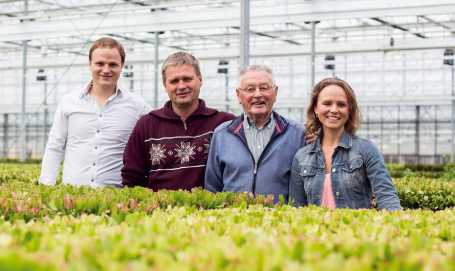 Hofland Flowering Plants uit Naaldwijk ontvangt predicaat “Hofleverancier”
