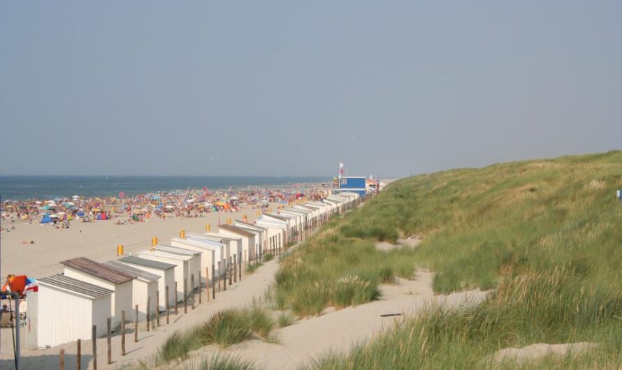 Westland behaalt titel: Schoonste Strand van Nederland