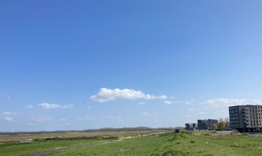 Gemeente Den Haag neemt beheer Landscheidingsdijk over voor betere natuurbescherming