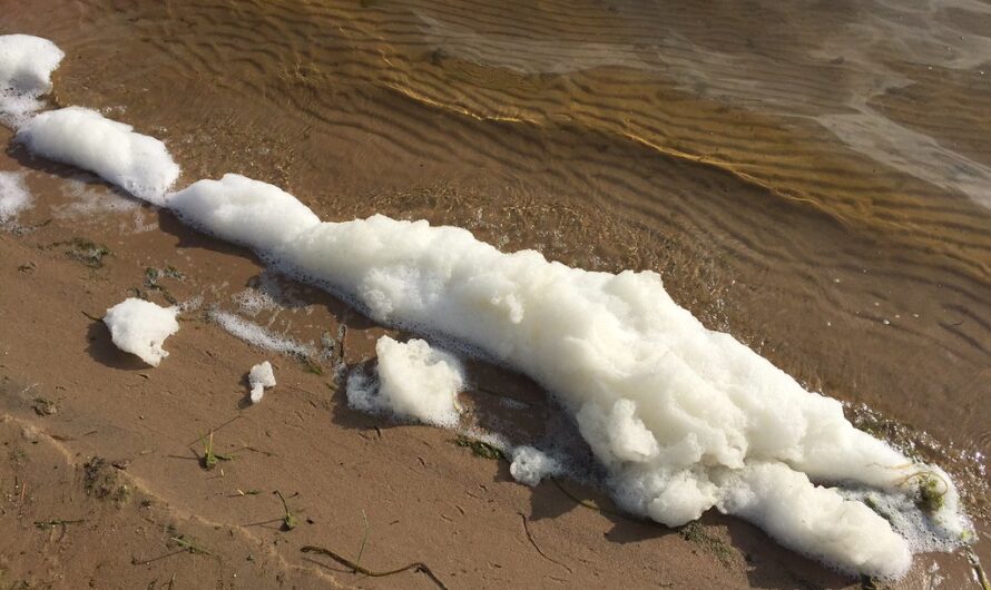 Provincie Zuid-Holland identificeert 1.600 mogelijke PFAS-locaties