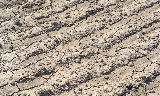 Droogte zet beschikbaarheid van zoet water in Zuid-Holland onder druk