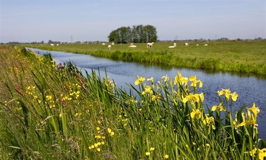 Subsidie voor groener boerenland