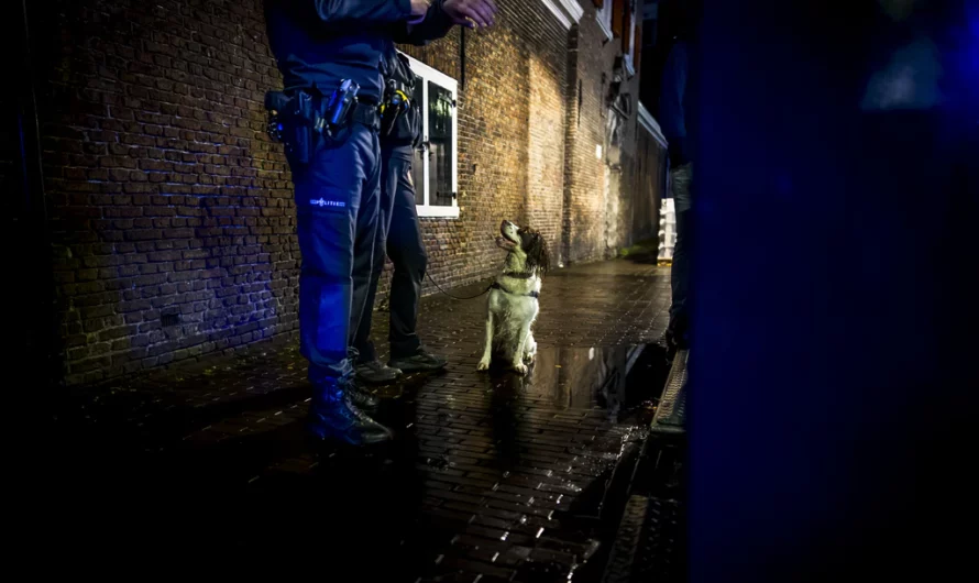Drugshond vaker ingezet tegen overlast in Oude Centrum